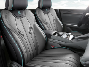 دوشمة بي واي دي جن بلاس Qin plus عالية الجودة