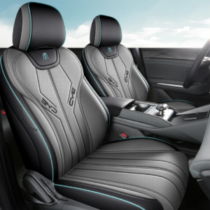 دوشمة بي واي دي جن بلاس Qin plus عالية الجودة