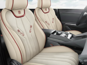 دوشمة بي واي دي جن بلاس qin plus فئة فاخرة